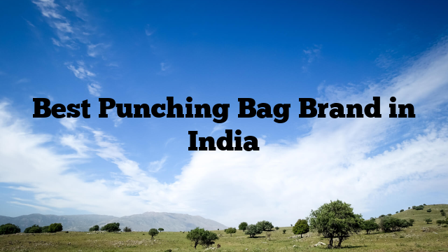 Best Punching Bag Brand in India - WaterSnake.Net
