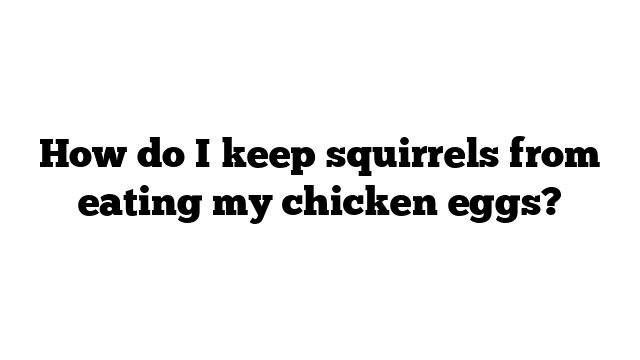 How do I keep squirrels from eating my chicken eggs? - WaterSnake.Net