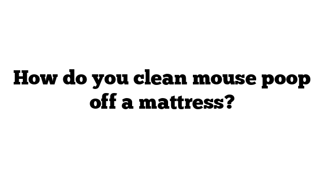 How Do You Clean Mouse Poop Off A Mattress 