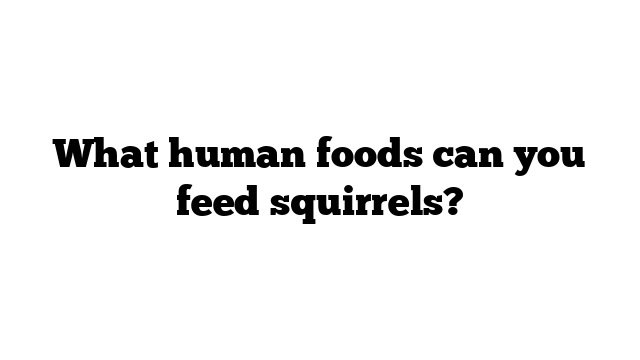 What human foods can you feed squirrels? - WaterSnake.Net